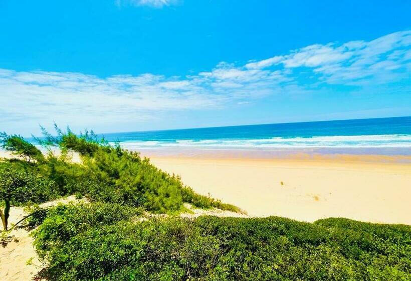 ホテル Singila Ocean Lodge