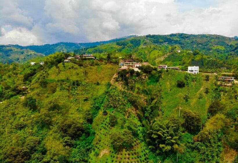 Mountain View Hostel