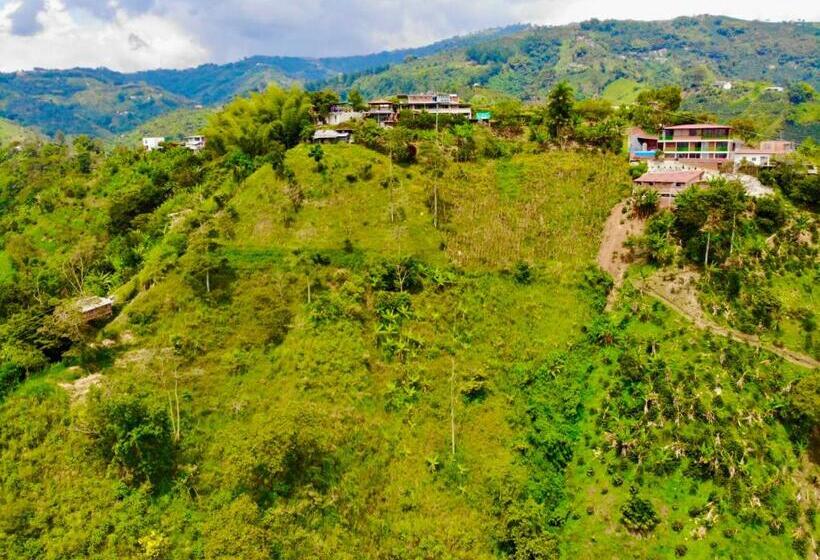 Mountain View Hostel