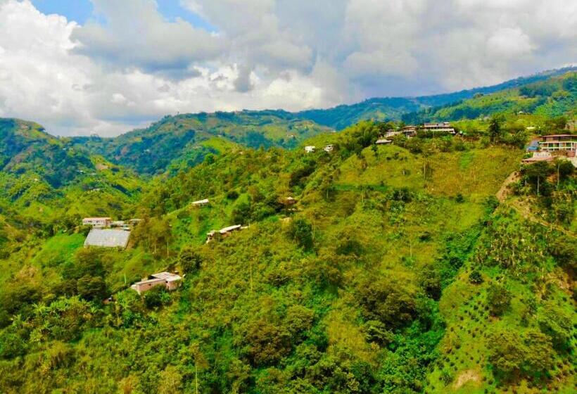 Mountain View Hostel