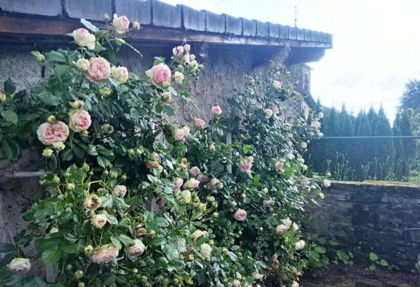 بنسيون Maison De Caractère Avec Tennis, Cheminée Et Recharge électrique   Aydoilles, Près D épinal   Fr 1 5