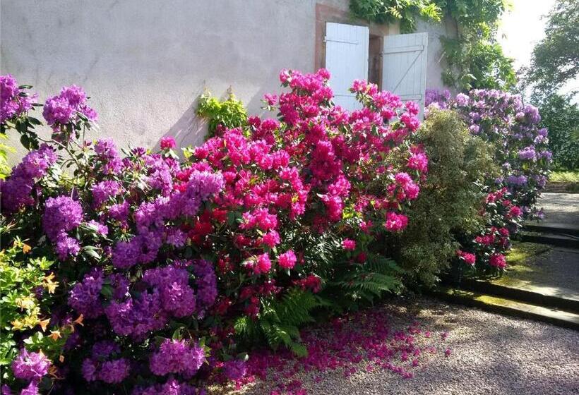 بنسيون Maison De Caractère Avec Tennis, Cheminée Et Recharge électrique   Aydoilles, Près D épinal   Fr 1 5