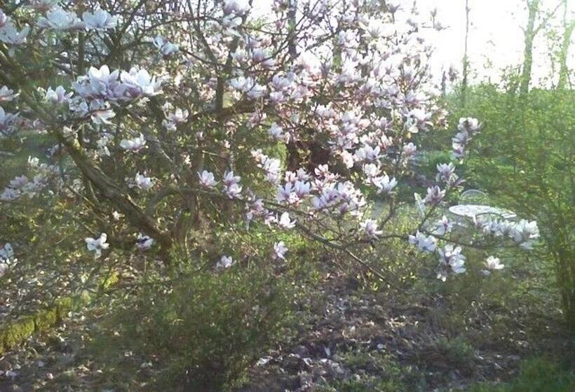 بنسيون Maison De Caractère Avec Tennis, Cheminée Et Recharge électrique   Aydoilles, Près D épinal   Fr 1 5