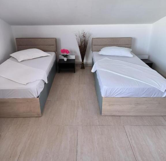 펜션 Vila Gherghisan