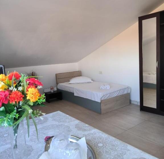 펜션 Vila Gherghisan