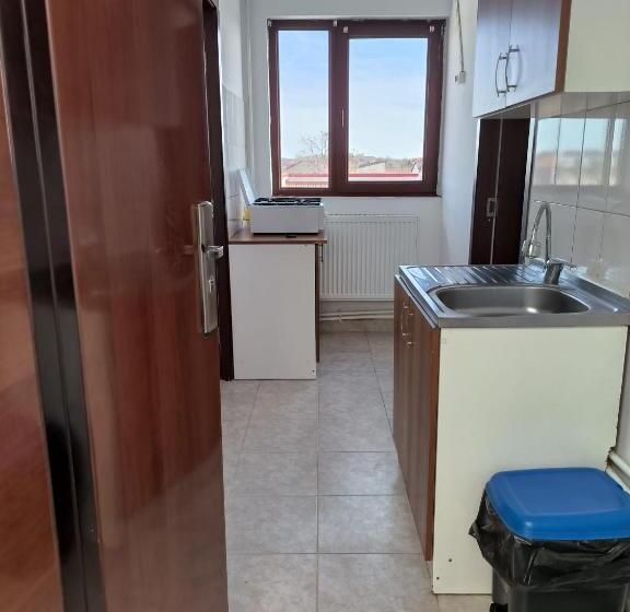 بنسيون Vila Gherghisan