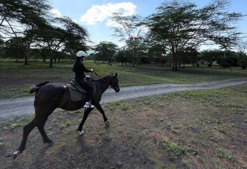 منتجع Chara Africa