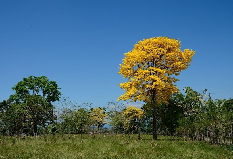 Apartamentos Herrera