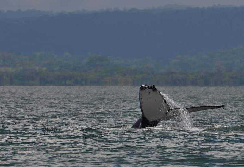 Apartamentos Herrera