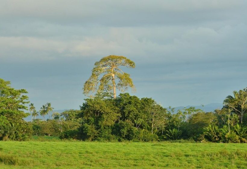 Apartamentos Herrera