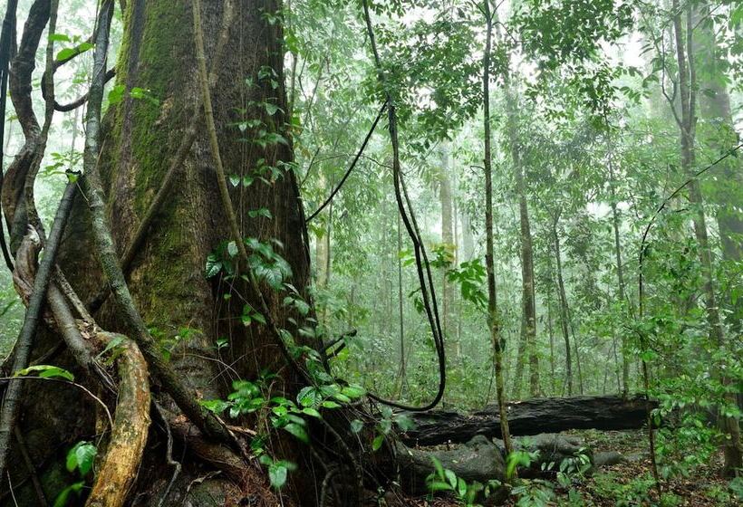 Apartamentos Herrera