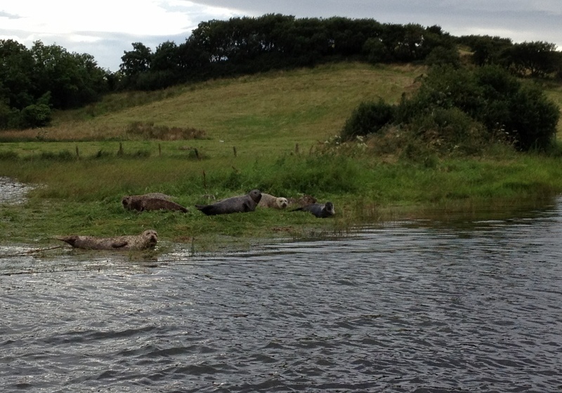 Bed and Breakfast Rossmore Manor