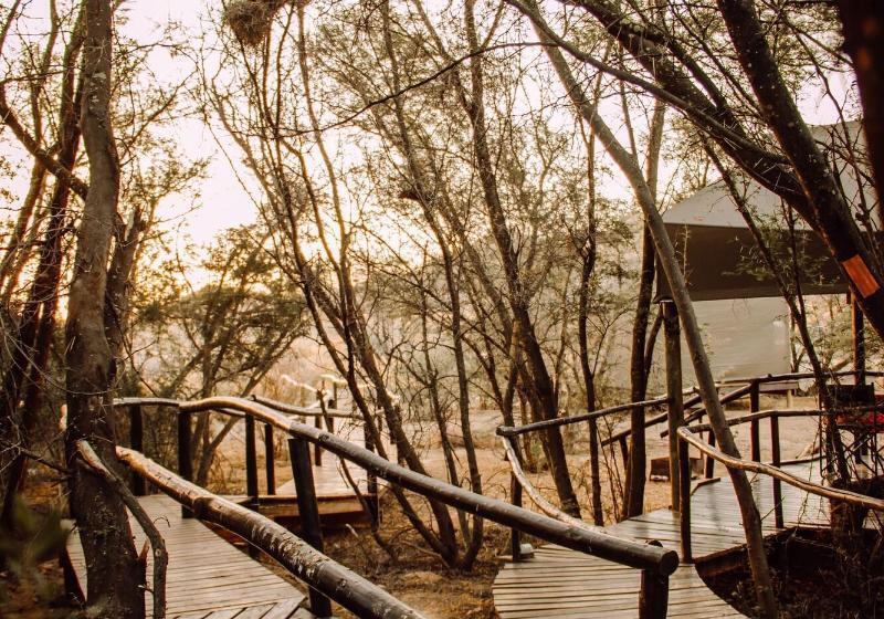 Chandelier Game Lodge