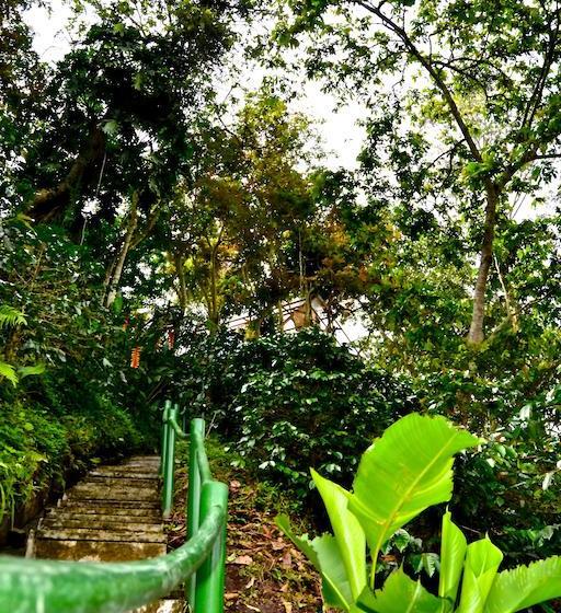 Ecohotel Spa Paraíso Verde