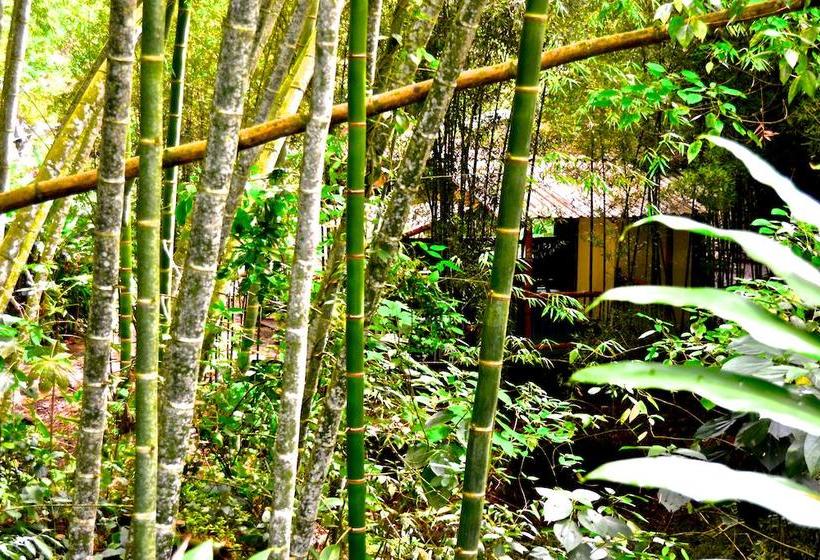 Ecohotel Spa Paraíso Verde