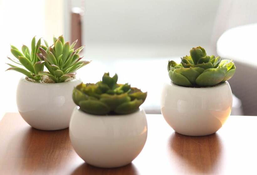 Ermitage On The Beach