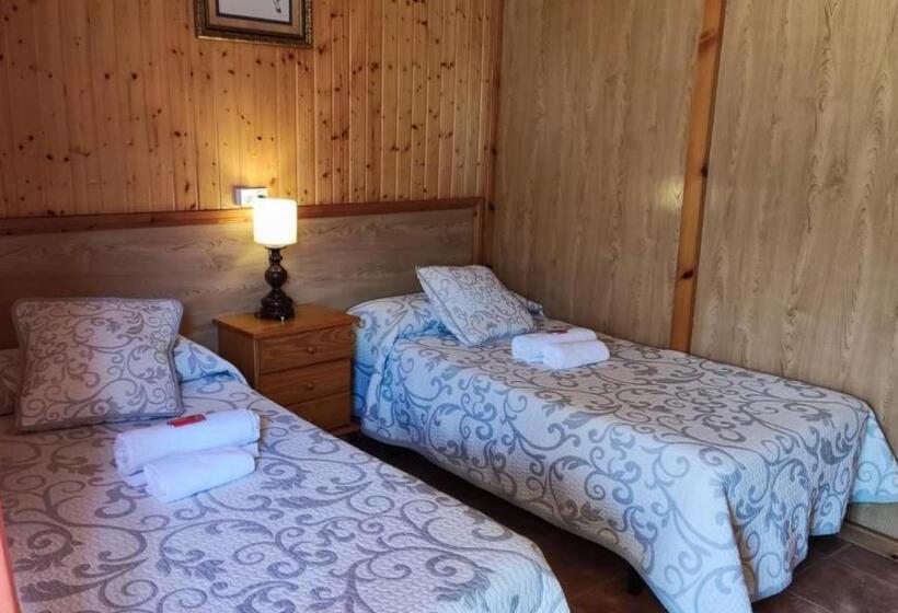 فندق فئة نجمة واحدة Casa David