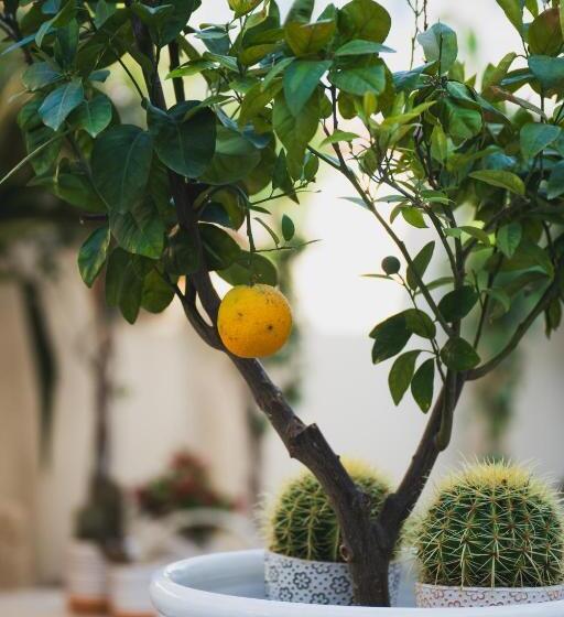 Хостел Riad Comfort Rooms