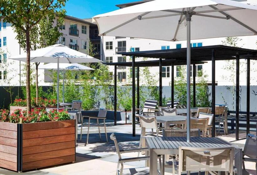 Ac Hotel By Marriott Atlanta Buckhead At Phipps Plaza