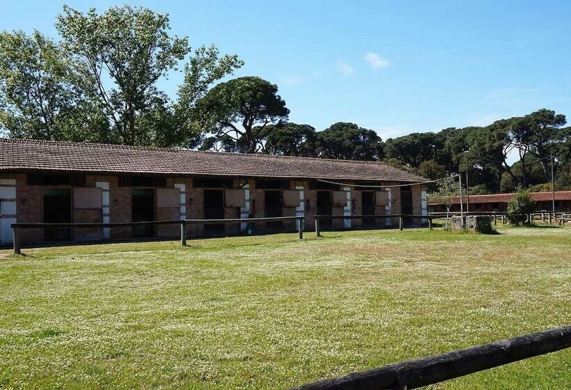 호텔 Agriturismo Poggio La Fioraia