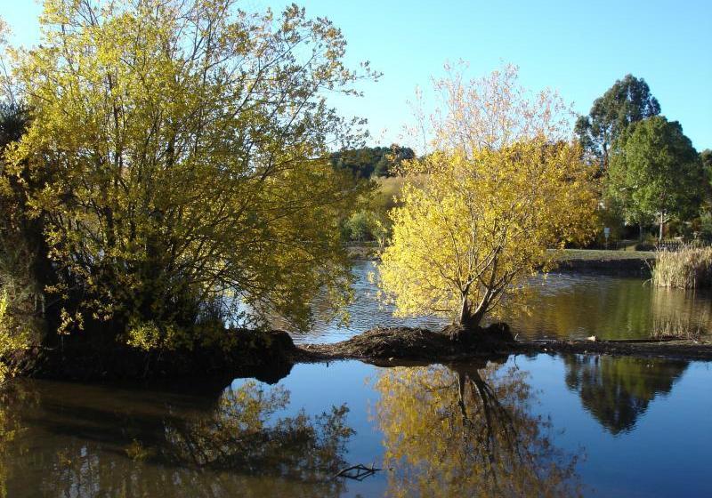 ホテル Ambleside On The Lake