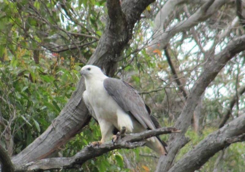 فندق Arthur River Holiday Units