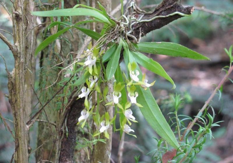 فندق Arthur River Holiday Units