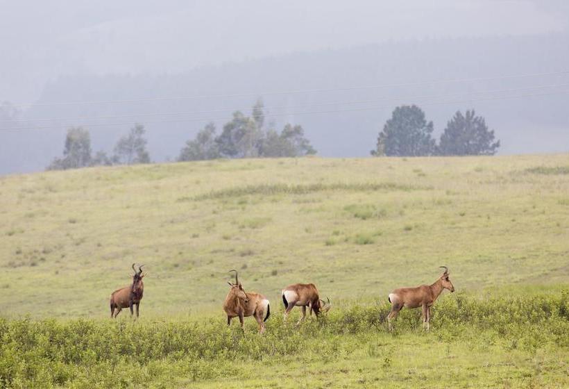 Brahman Hills   Gardens, Hotel & Cottages