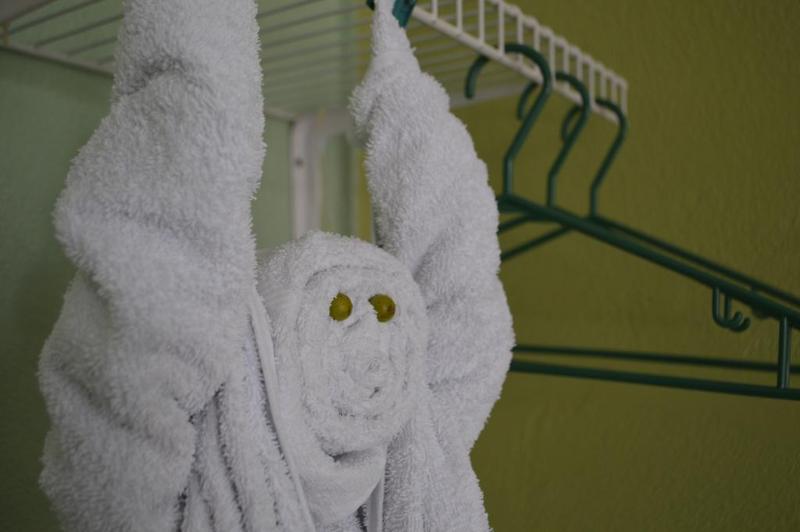 酒店 Cabinas Los Almendros