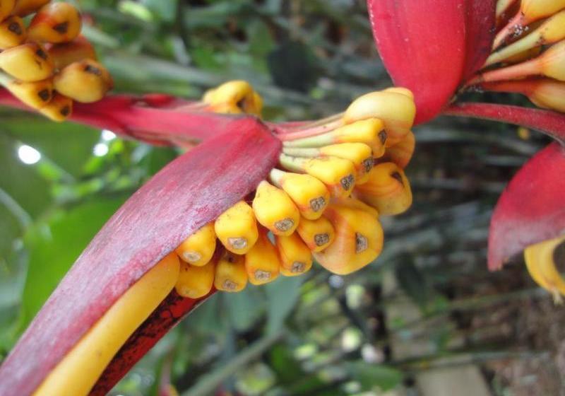 酒店 Cabinas Los Almendros