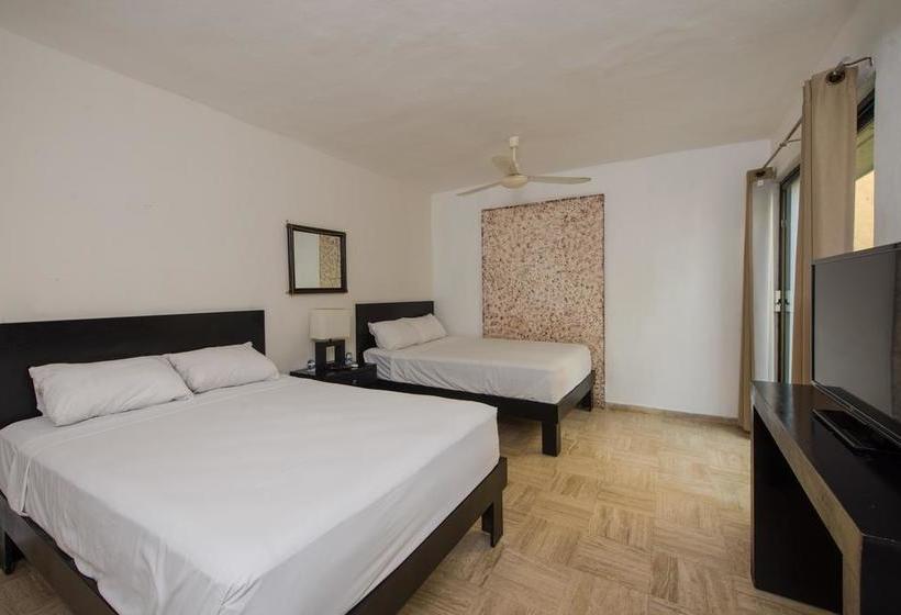 Fotos del hotel Caracol Suite:  2