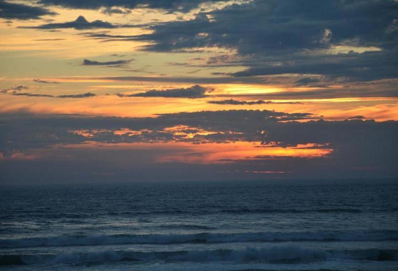 בית מלון כפרי Castaway Holiday Apartments