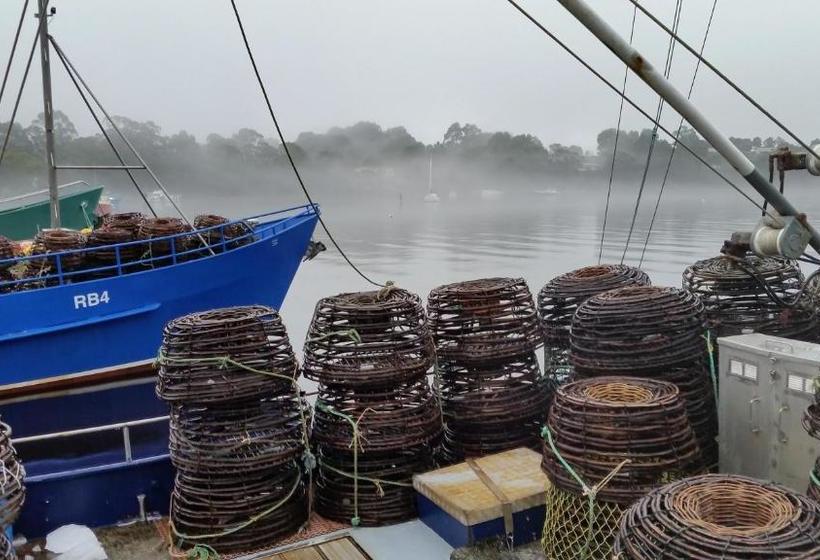 בית מלון כפרי Castaway Holiday Apartments