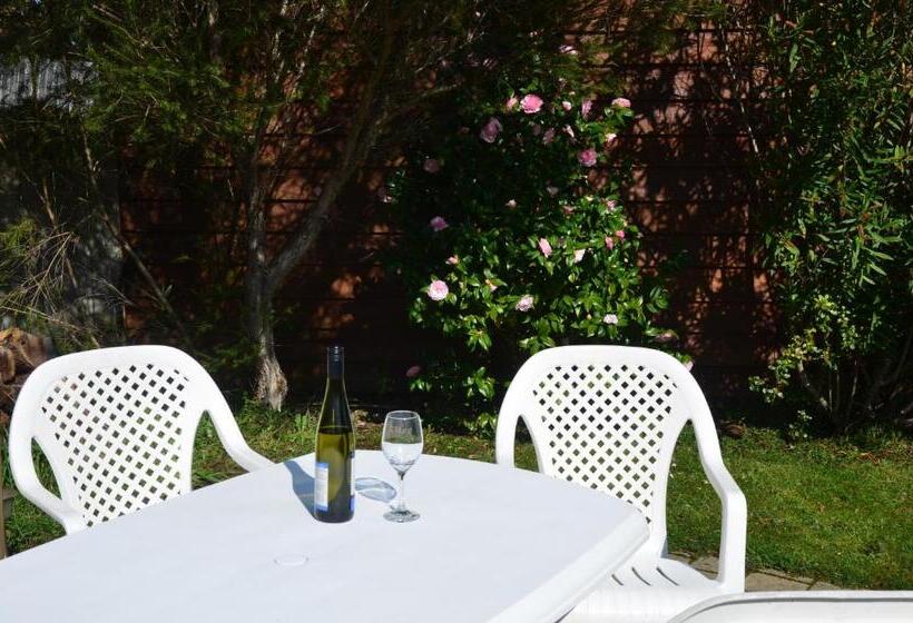 בית מלון כפרי Castaway Holiday Apartments