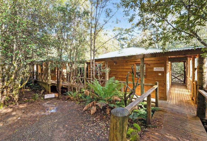 فندق Cradle Forest Inn