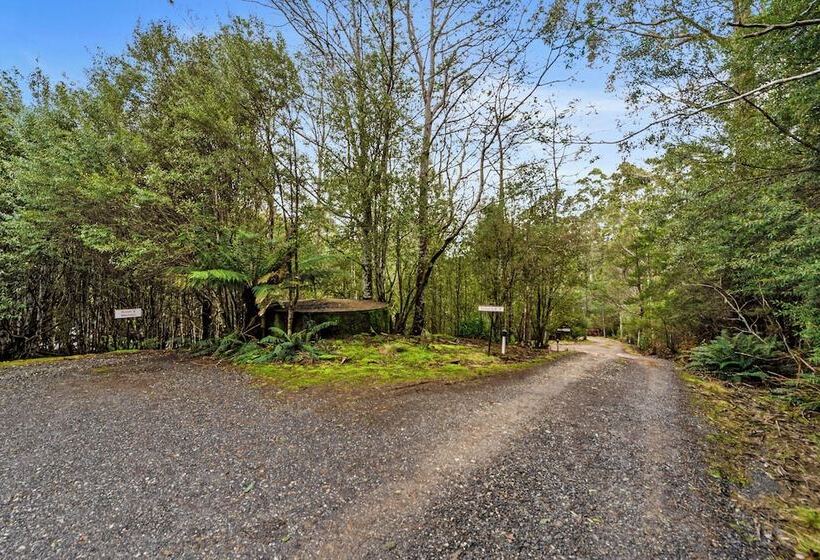 فندق Cradle Forest Inn