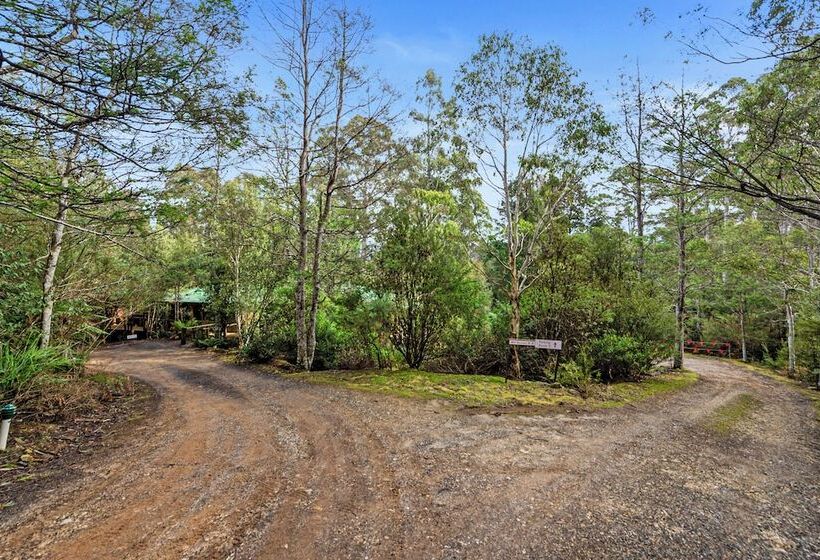 فندق Cradle Forest Inn