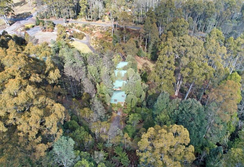 فندق Cradle Forest Inn