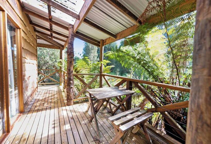 فندق Cradle Forest Inn