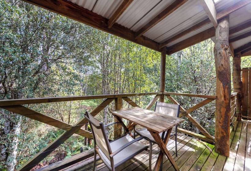 فندق Cradle Forest Inn