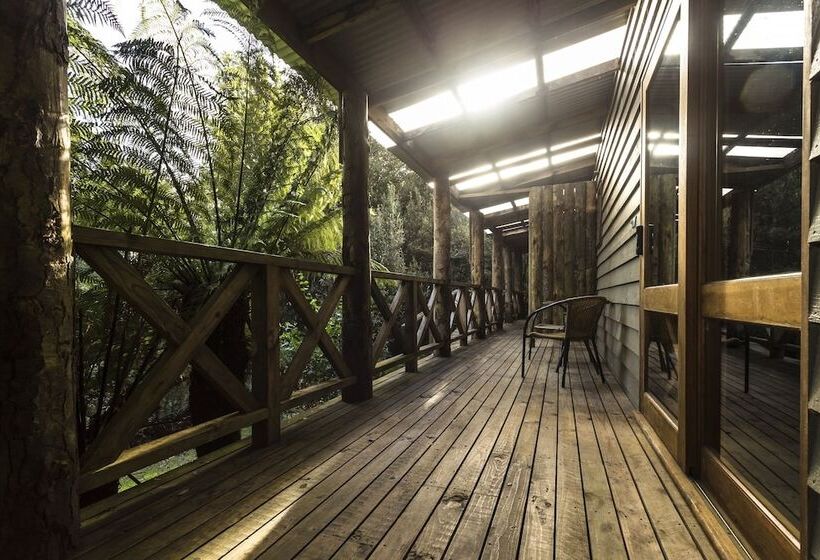 فندق Cradle Forest Inn