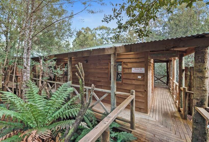 فندق Cradle Forest Inn