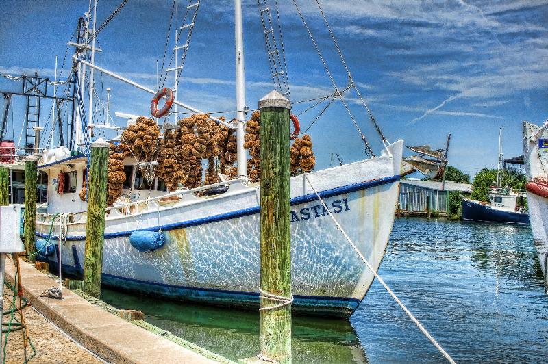 فندق Holiday Inn Express & Suites Trinity, An Ihg