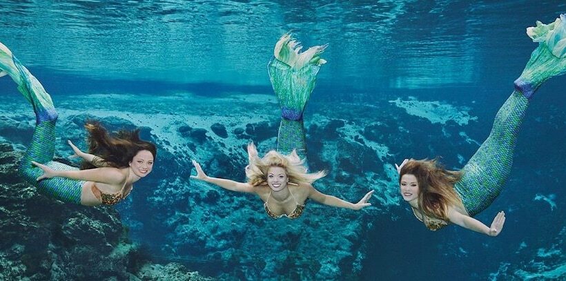 فندق Holiday Inn Express & Suites Trinity, An Ihg