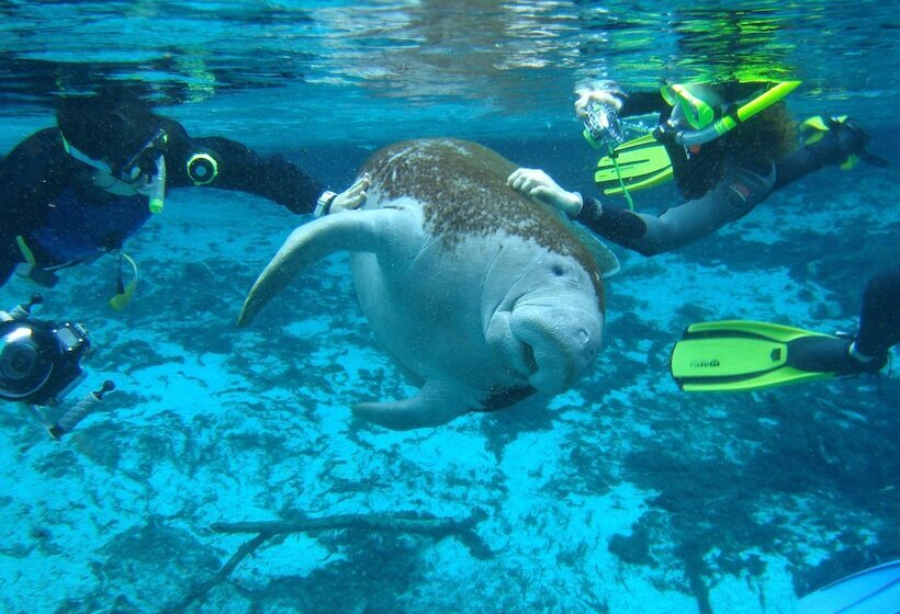 فندق Holiday Inn Express & Suites Trinity, An Ihg