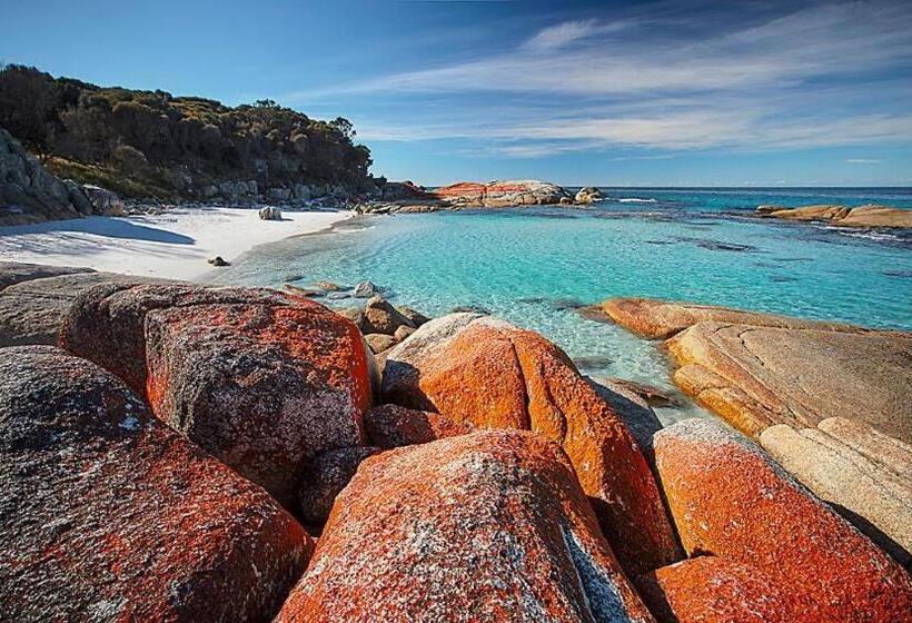 فندق Georges Bay Apartments