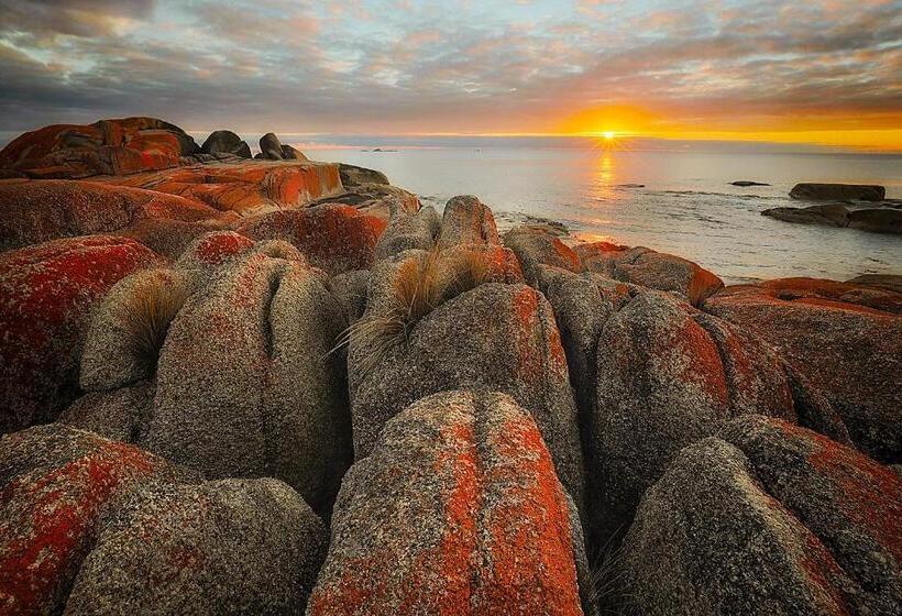 فندق Georges Bay Apartments