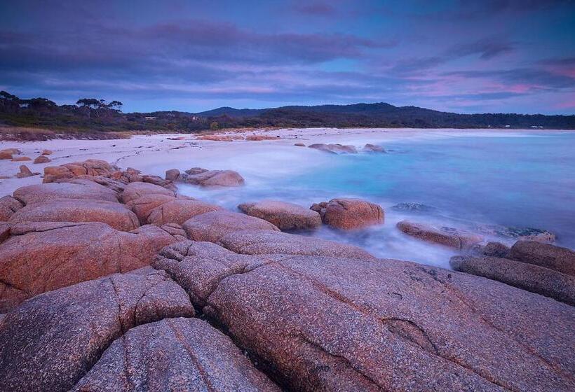 فندق Georges Bay Apartments