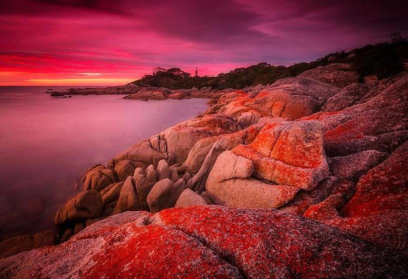 فندق Georges Bay Apartments