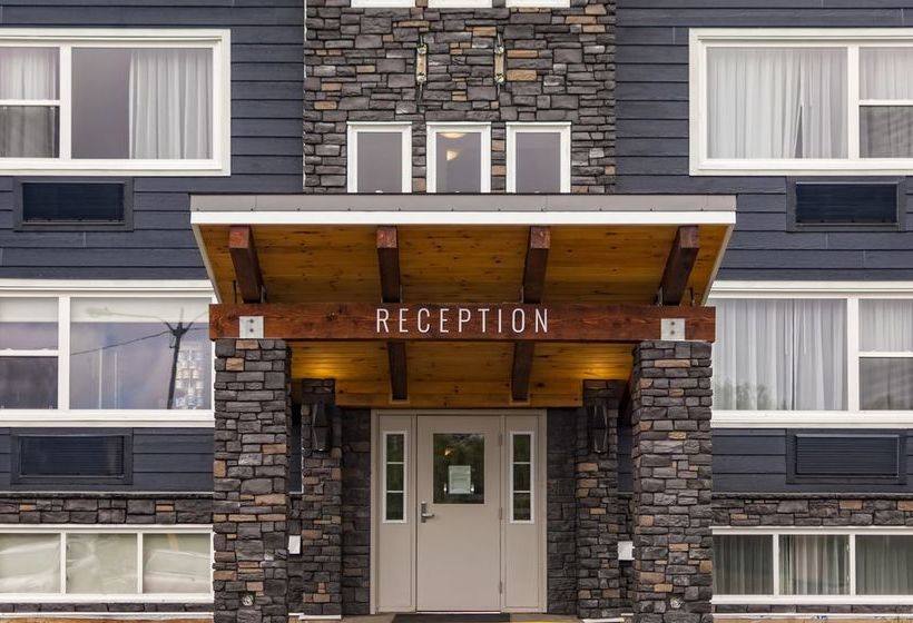 酒店 Homeport Apartment